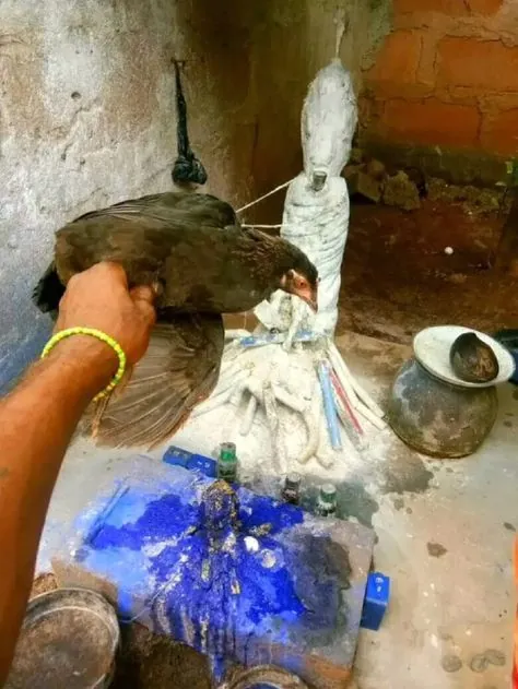 Marriage & Relationship Harmony — Mzee Nzomo traditional ritual